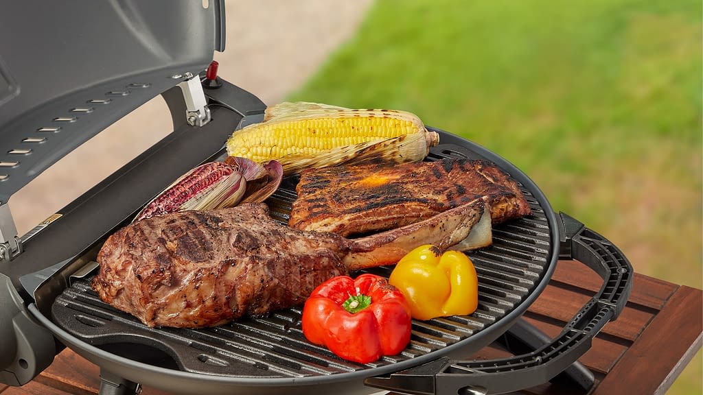 Portable Gas Grills Unique Design O Grill Brand